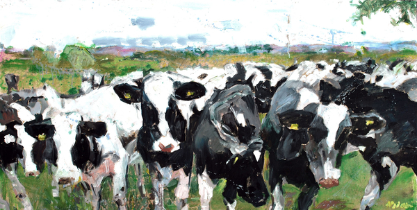 Cows moo softly , oil on canvas 24x48 in.